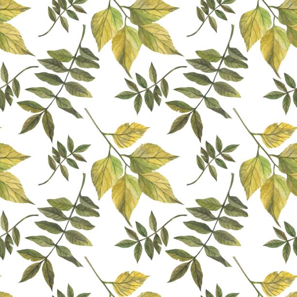 istock Autumn leaves in watercolor style. 1339069318