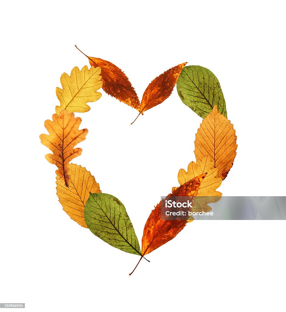 Símbolo en forma de corazón de hojas (XXL) hecho - Foto de stock de Fondo blanco libre de derechos