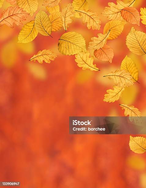 Осенний Фон Xl — стоковые фотографии и другие картинки Осень - Осень, Падать, Фоновые изображения
