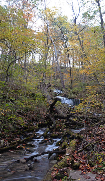 istock Leonard Springs Nature Park Autumn 1339070333