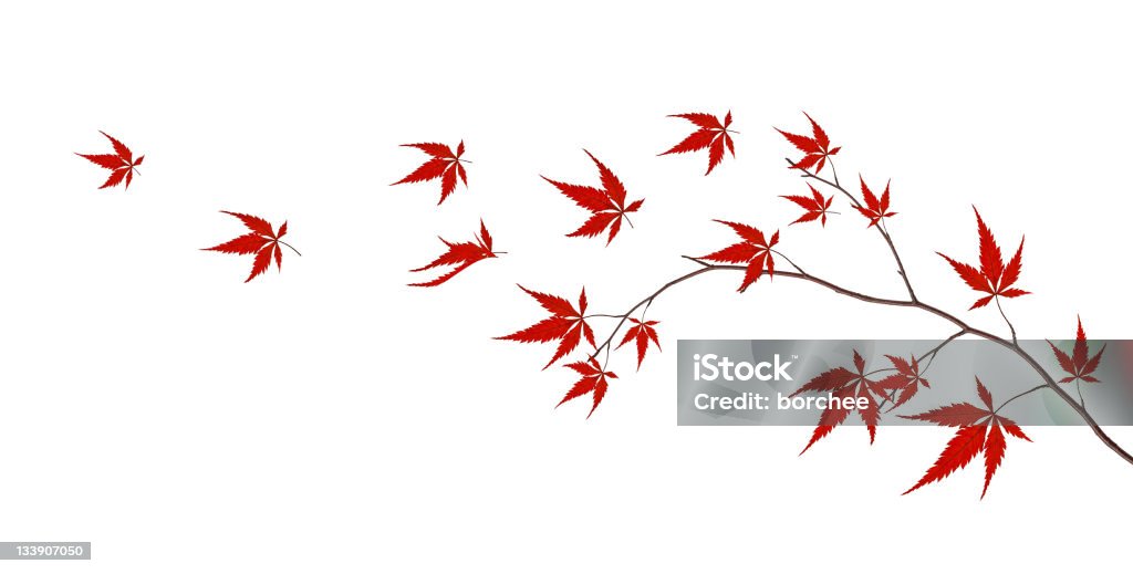 Autunno - Foto stock royalty-free di Foglia rossa