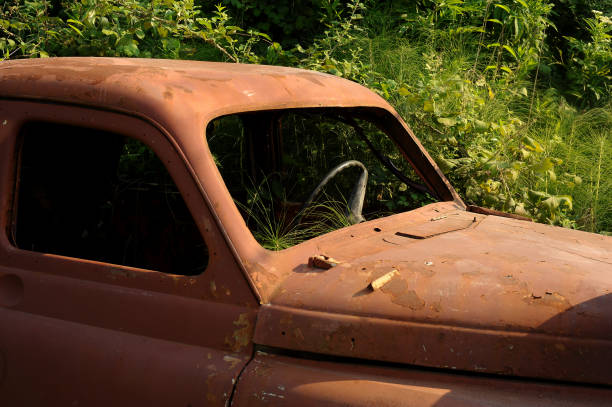 istock A rusty old car overgrown with greenery. Abandoned city, fleet 1339071005