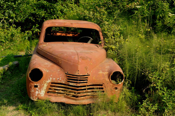 istock A rusty old car overgrown with greenery. Abandoned city, fleet 1339071050