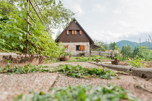 View of the Mountain Cottage from Vegetable Garden