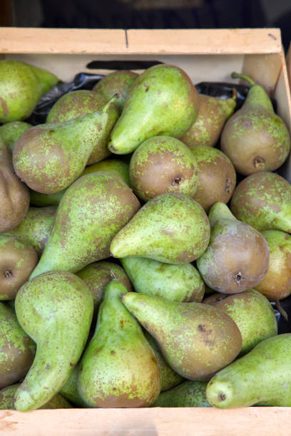 istock Green Pears on Market 1339076879