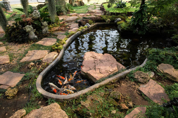 istock Pond, Koi Carp, Fish, Front or Back Yard, Japanese Garden 1339077715