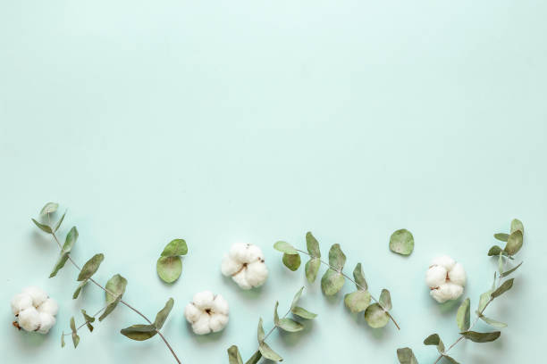istock Eucalyptus leaves and cotton flowers pattern, flat lay 1339078032