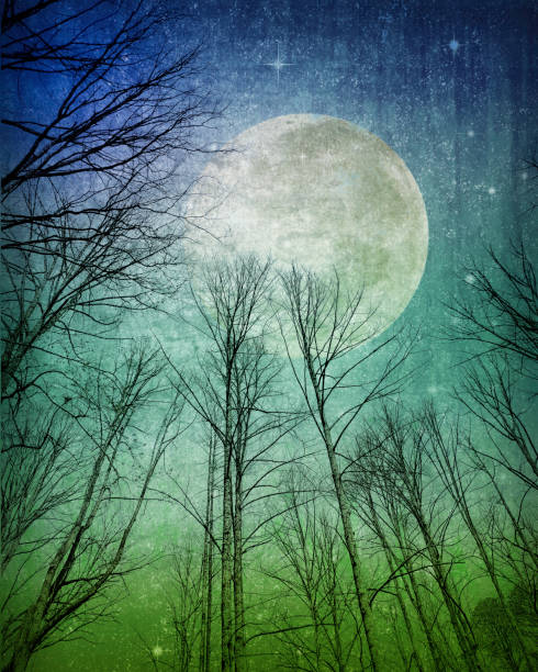 Fantasy Sky, Full Moon, Trees, Stars -- Atmospheric Mood