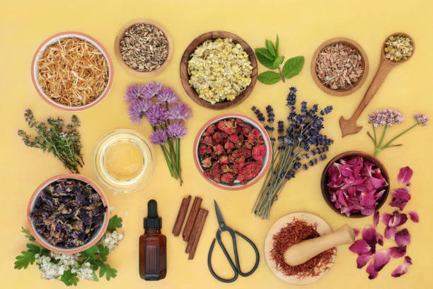 istock Essential Oil for Herbal Medicine Preparation 1339083233
