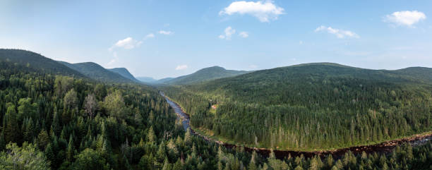 Aerial View of Boreal Nature Forest and River in Summer, Quebec, Canada Aerial View of Boreal Nature Forest and River in Summer, Quebec, Canada. stitched image stock pictures, royalty-free photos & images