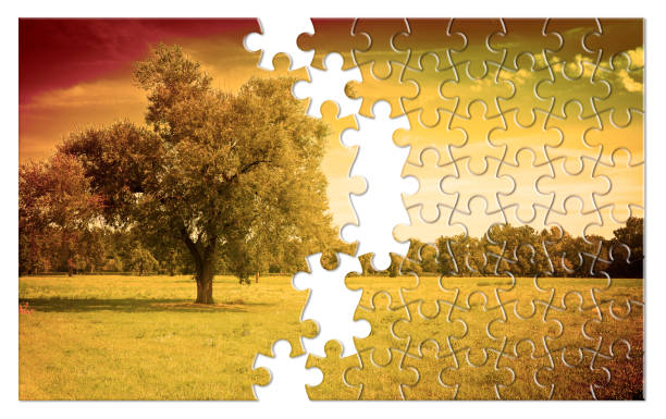 istock Isolated tree in a tuscany rural scene (Italy) - environmental conservation concept image in jigsaw puzzle shape