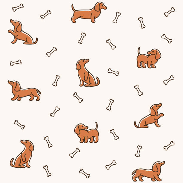 パターン - animal backgrounds canine dachshund点のイラスト素材／クリップアート素材／マンガ素材／アイコン素材