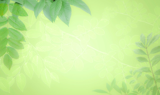 Green Leaves Frame Border Background Vignette with copy space. Summer, Spring. Defocused; soft focus.