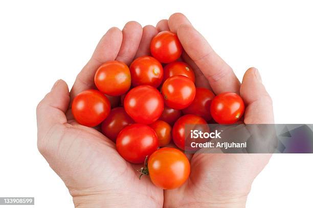 Cherry Tomatoes In Hand Stock Photo - Download Image Now - Cherry Tomato, Close-up, Cut Out