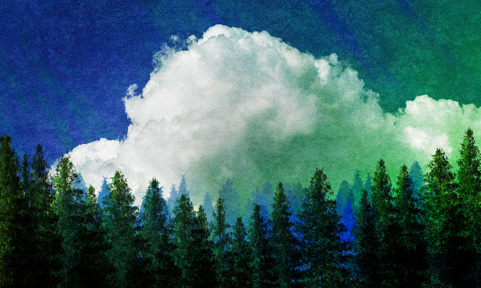 Cumulus Cloud above Evergreen Forest - textured effect