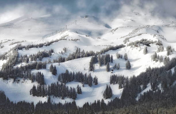 istock Mount Hood Scenic 1339086127