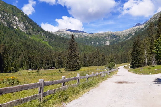 istock Beautiful view from the path that leads to Lake Nambino 1339087643