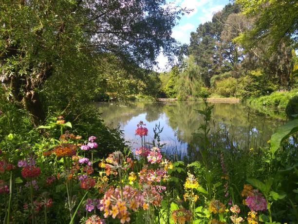 istock Wild flowers growing by lake 1339089686