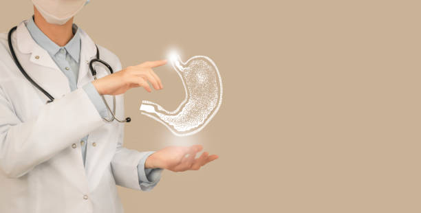 Unrecognizable doctor holding highlighted handrawn Stomach in hands. Medical illustration, template, science mockup. Female doctor holding virtual Stomach in hand. Handrawn human organ, copy space on right side, beige color. Healthcare hospital service concept stock photo gastroenterology photos stock pictures, royalty-free photos & images