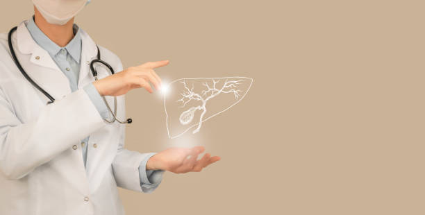 Unrecognizable doctor holding highlighted handrawn Gall Bladder in hands. Medical illustration, template, science mockup. Female doctor holding virtual Gall Bladder in hand. Handrawn human organ, copy space on right side, beige color. Healthcare hospital service concept stock photo gastroenterology photos stock pictures, royalty-free photos & images