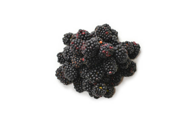istock Tasty blackberry isolated on white background. 1339091642