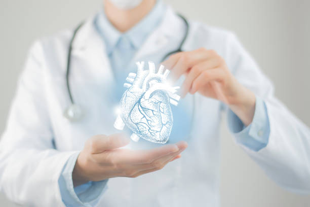 Unrecognizable doctor holding highlighted handrawn Heart in hands. Medical illustration, template, science mockup. Female doctor holding virtual Heart in hand. Handrawn human organ, blurred figure, raw photo colors. Healthcare hospital service concept stock photo cardiovascular exercise stock pictures, royalty-free photos & images