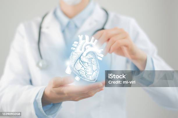 Unrecognizable Doctor Holding Highlighted Handrawn Heart In Hands Medical Illustration Template Science Mockup Stock Photo - Download Image Now