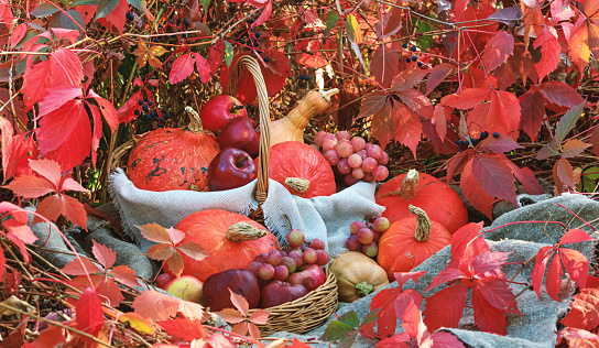 Thanksgiving ,dinner,food,turkey,autumn,fall