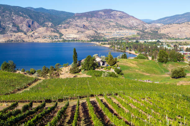 istock Skaha Lake Penticton Okanagan Valley British Columbia 1339098827