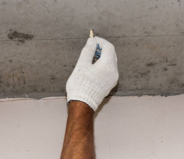 istock Installation of plastic dowels in the hole. 1339100308