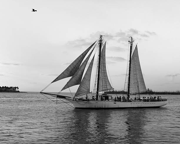 Schooner in black and white Schooner on a sunset tour in the Florida Keys. gaff rigged stock pictures, royalty-free photos & images