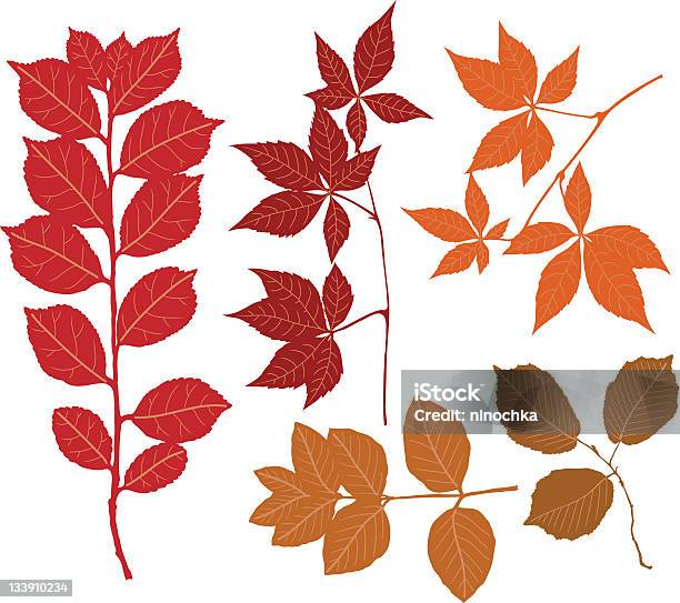 가을 낙엽 0명에 대한 스톡 벡터 아트 및 기타 이미지 - 0명, 10월, 가을