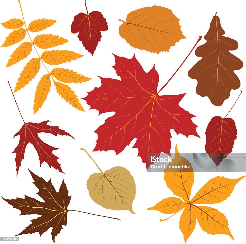 色の葉 - 秋のロイヤリティフリーベクトルアート