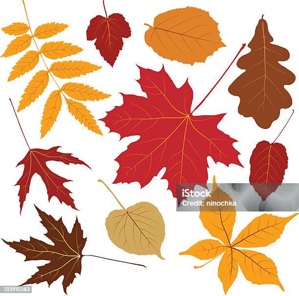 色の葉 - 秋のベクターアート素材や画像を多数ご用意 - 秋, 葉, 輪郭