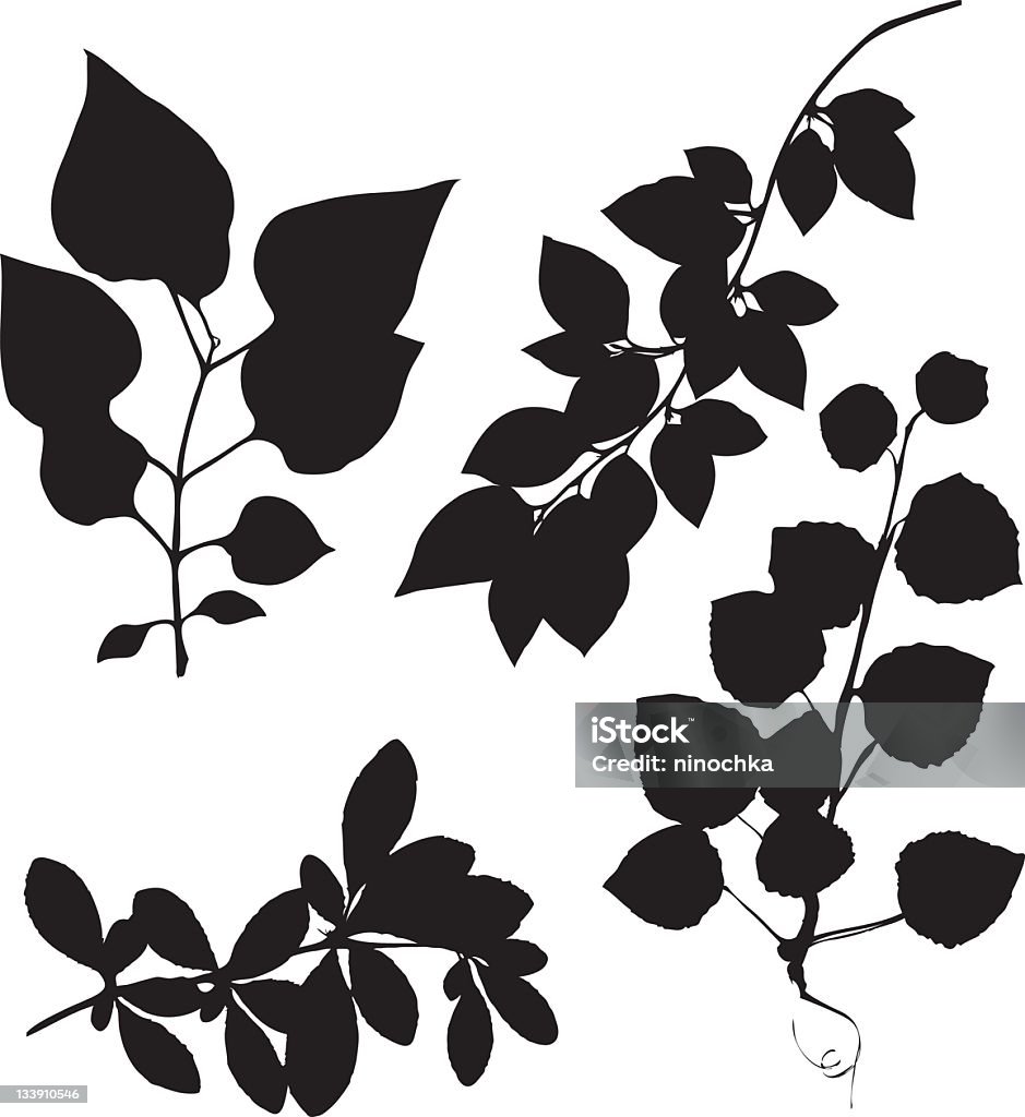 Blätter auf Filialen - Lizenzfrei Blatt - Pflanzenbestandteile Vektorgrafik