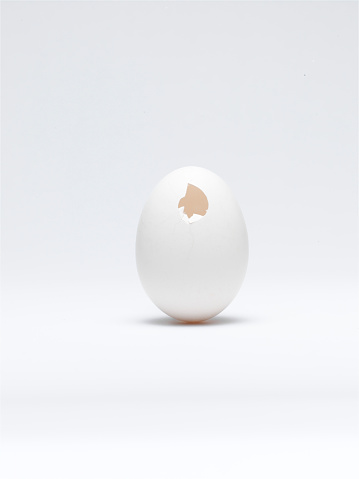 Escaped white egg