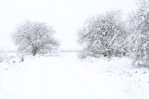 Rural road in winter stock photo