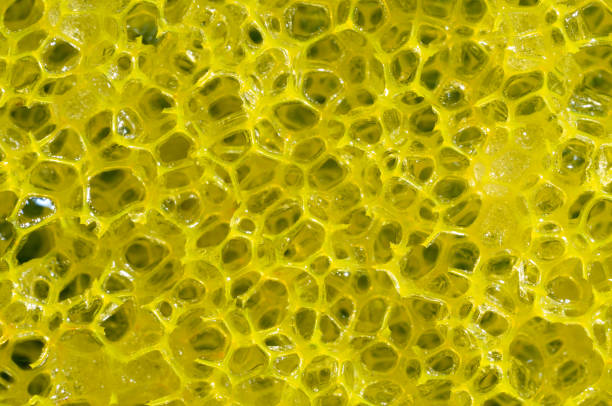 Abstract photo in macro photography. Close up on a sponge, making it possible to see its geometric pattern.