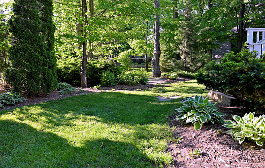 A backyard in the early morning hours during springtime season with a green grass areas and flowerbeds surrounded by older trees some evergreen and some deciduous all showing great signs of fresh new growth.