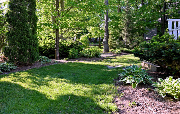 Backyard in Springtime A backyard in the early morning hours during springtime season with a green grass areas and flowerbeds surrounded by older trees some evergreen and some deciduous all showing great signs of fresh new growth. back yard stock pictures, royalty-free photos & images