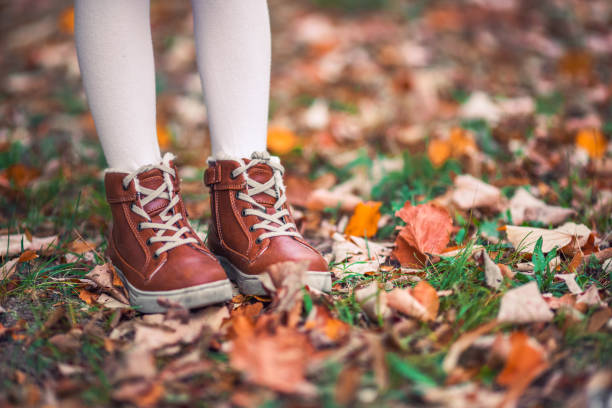 Child legs in boots on background of a golden maple leaves stock photo