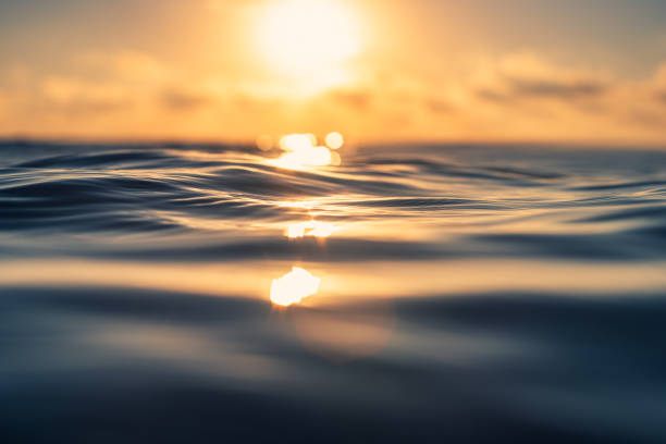 onda del mare da vicino, vista ad angolo basso, colpo di sole. - beach sunset sea sunrise foto e immagini stock