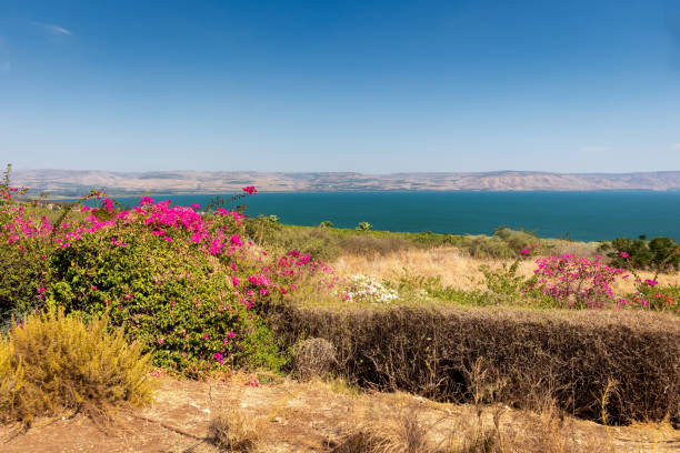 聖地のビーティチュード山から見たガリラヤの海 - lake tiberius ストックフォトと画像