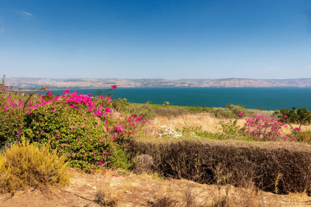галилейское море, вид с горы блаженства на святой земле - lake tiberius стоковые фото и изображения