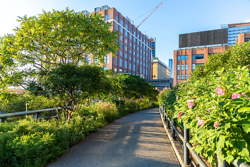 High Line park in Manhattan in New York City, NY, USA