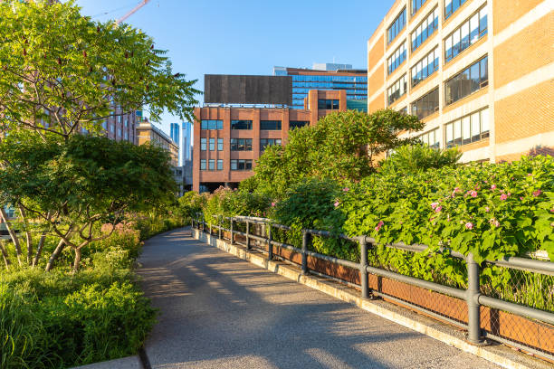 parco high line a new york - nyc greenway foto e immagini stock