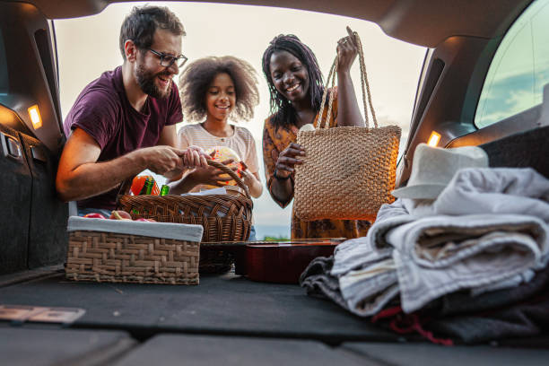 istock Mixed-raced family have picnic in nature 1339126893