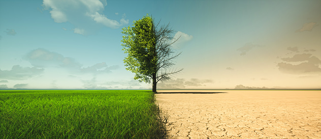 Cambio climático de la sequía al crecimiento verde photo