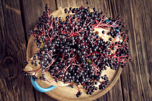 istock Fresh black elder or Sambucus berries 1339139677