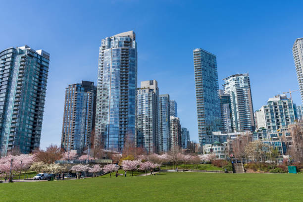 David Lam Park in springtime season. Skyscrapers and Cherry blossoms.Vancouver, BC, Canada. March 31 2023 stock photo